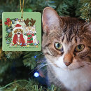 Recherche de photo drôle de chat ornements Toute personne