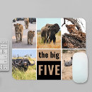 Recherche de éléphant photographie Animal