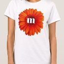 Recherche de marguerites de gerbera Botanique