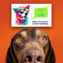 Recherche de chien Toute personne