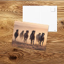 Recherche de troupeau de cheval cartes postales Toute personne