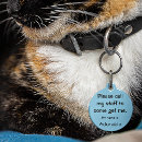 Recherche de chats médaillons Cats