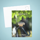Recherche de tourterelles cartes postales Pour tous