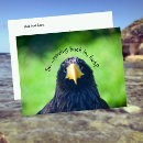 Recherche de rapace invitations Oiseau