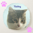Recherche de chat tigré coussins Mignon