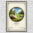 Recherche de alpaga art Vintage