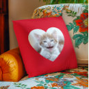 Recherche de roux coussins Pour eux