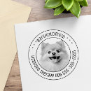 Recherche de de chien pomeranian Pour animaux