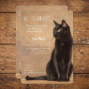 Recherche de kitty cat invitations Chaton