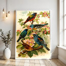 Recherche de zoologique posters Jardin