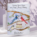 Recherche de anniversaire de janvier Aquarelle