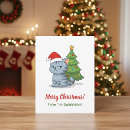 Recherche de chat grincheux cartes postales Mignon