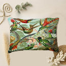 Recherche de colibri coussins Artistique