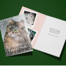 Recherche de motif de chats cartes postales Empreintes de pattes