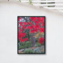 Recherche de jardin japonais posters Arbres