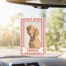 Recherche de os de chien Motif