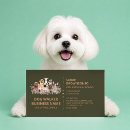 Recherche de image de chien cartes visite Chiens