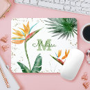 Recherche de feuillage tapis souris Botanique
