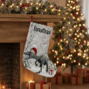Recherche de dinosaure chaussette de noël Préhistorique