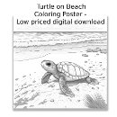 Recherche de tortue bureau fournitures Salle de classe