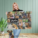 Recherche de patte photographie Dogs