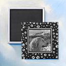 Recherche de chien blanc magnets Empreintes de pattes