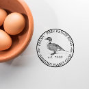 Recherche de timbre de canard Boîte à oeufs