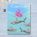 Recherche de grand requin blanc cartes postales Requins