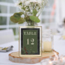 Recherche de hiver mariage table cartes Traditionel