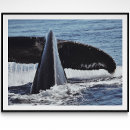 Recherche de de baleine art Océan