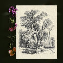 Recherche de pays vintage cartes postales Illustration