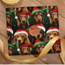 Recherche de casquette papier cadeau Dachshund