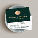 Recherche de arbre avec racines cartes visite Paysagiste