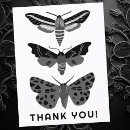 Recherche de insectes vœux cartes Papillons de nuit