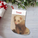 Recherche de furet chaussette de noël Mignon