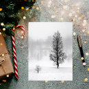 Recherche de hivernale cartes postales Pour tous