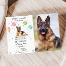 Recherche de chiot berger invitations Laisse pawty