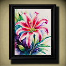 Recherche de stargazer lily posters Aquarelle
