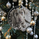 Recherche de empreinte de patte chien ornements Noël