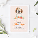 Recherche de tzu mignon de shih Aquarelle