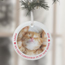 Recherche de pet photo ornements Cat