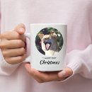 Recherche de noël de chien tasses Pour animaux