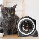 Recherche de règle de chat maison deco Pour lui