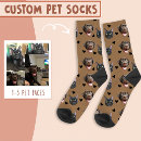 Recherche de visage chien chaussettes Photo pour chien