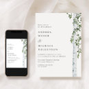 Recherche de bouleaux cartes postales Vert