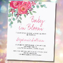 Recherche de floral baby shower Eucalyptus