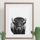 Recherche de bison buffle posters Imprimer