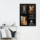 Recherche de mémorial chat posters Mémorial des animaux