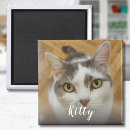 Recherche de chats magnets Chien