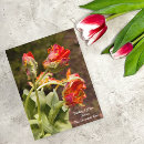 Recherche de parrot cartes postales Nature